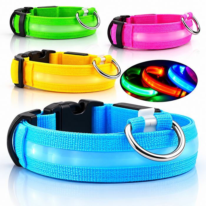 Le Collier Lumineux pour Chien