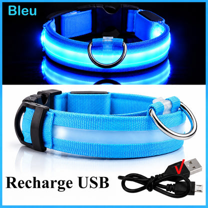 Collier lumineux bleu allumé et son câble de recharge USB