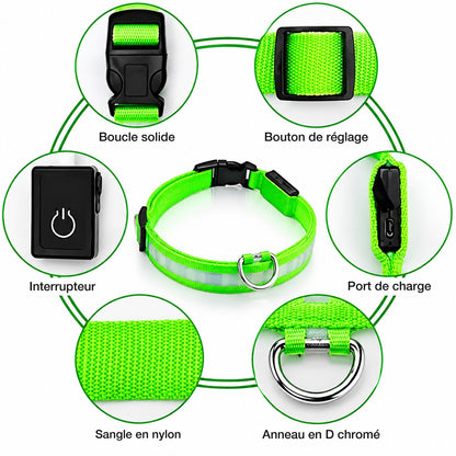 Détails du collier : boucle solide, bouton de réglage, interrupteur, port de charge, sangle en nylon, anneau en D chromé