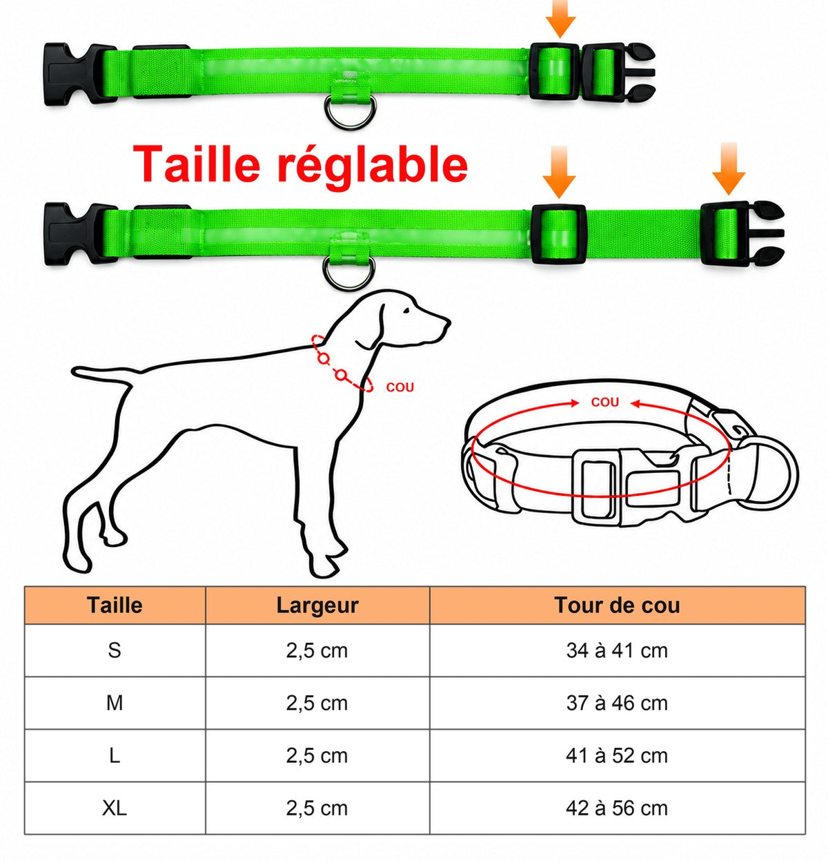Collier lumineux à taille réglable et tableau des tailles selon le tour de cou