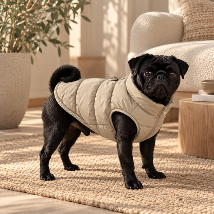 Doudoune pour chien Kaki portée par un carlin