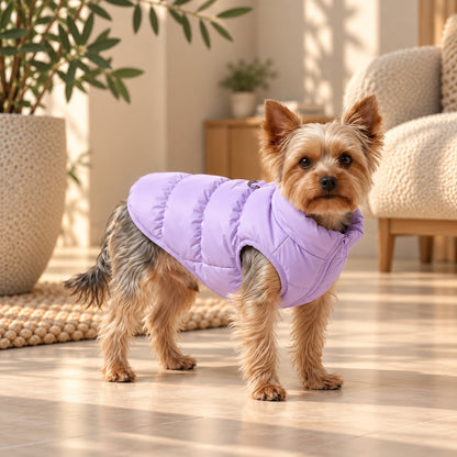 Doudoune pour chien Violet portée par un yorkshire