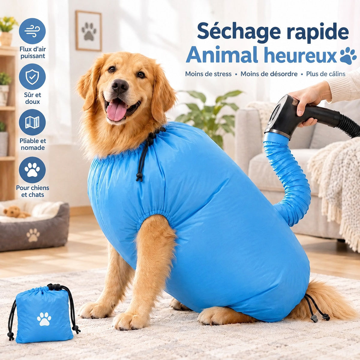 Golden retriever au chaud dans le sac de séchage bleu, branché sur un sèche-cheveux