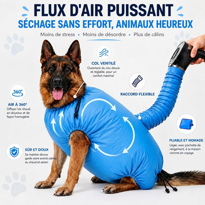 Flux d'air puissant : berger allemand dans le sac de séchage, air chaud à 360°