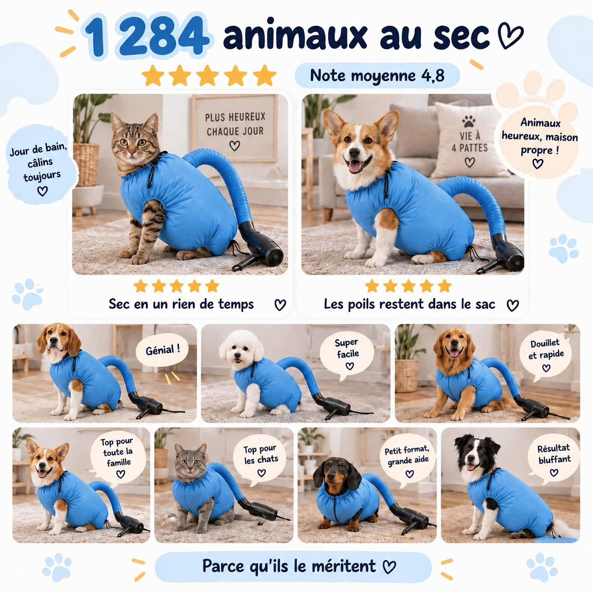 1 284 animaux au sec : chiens et chats dans le sac de séchage