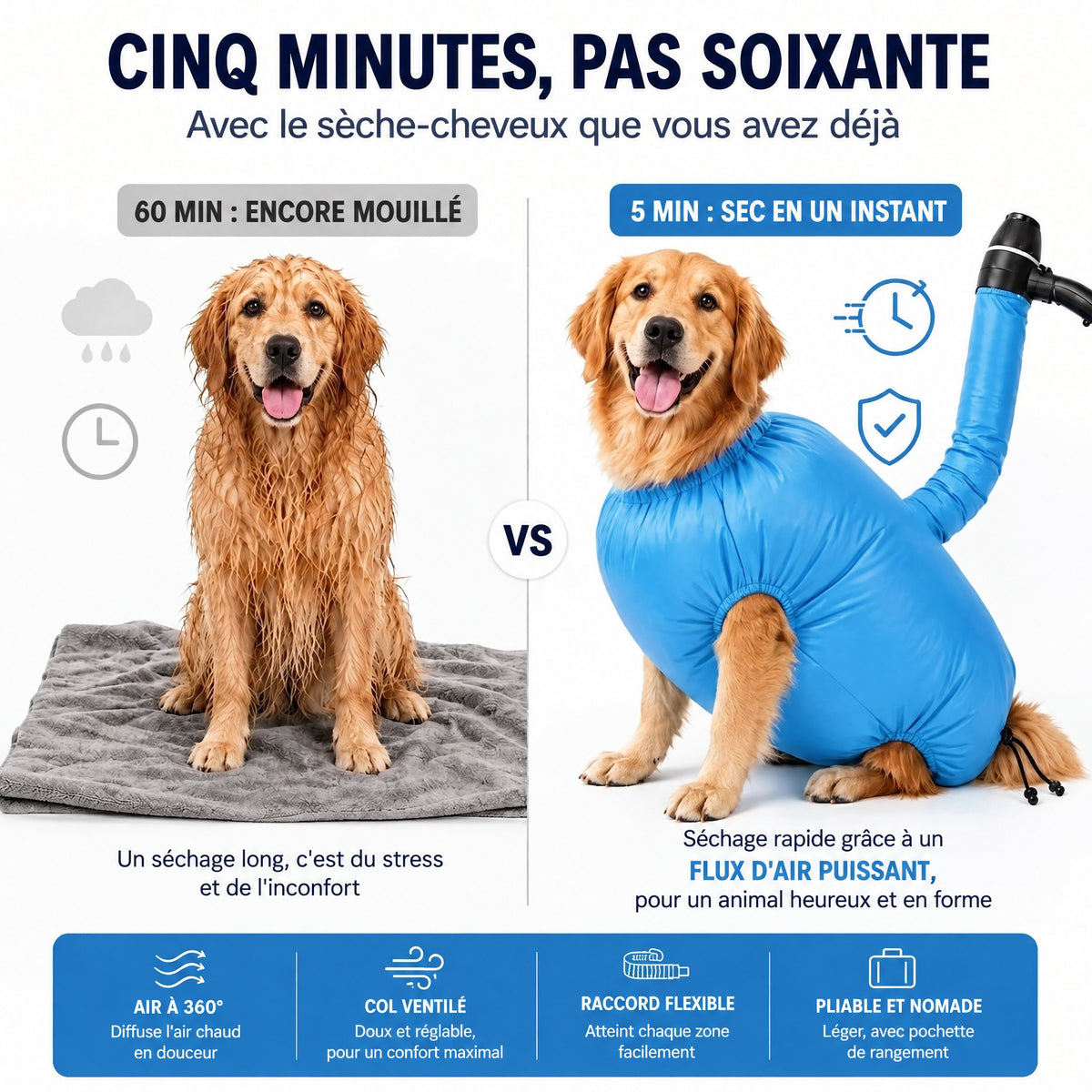 Cinq minutes au lieu de soixante : golden retriever mouillé, puis au chaud dans le sac