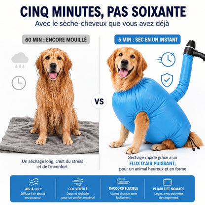 Cinq minutes au lieu de soixante : golden retriever mouillé, puis au chaud dans le sac
