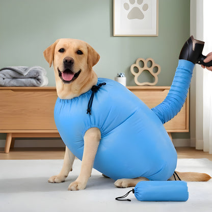 Labrador dans le sac de séchage, pochette de rangement à côté